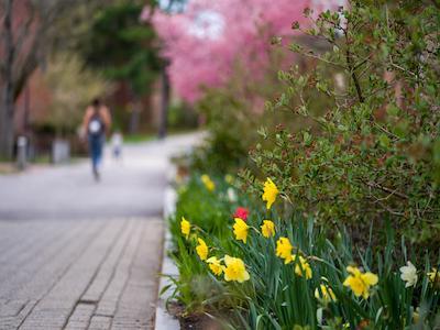 Flowers on UNH campus